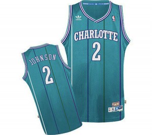Maillot NBA Bleu clair Larry Johnson #2 Charlotte Hornets Throwback Swingman Homme Adidas