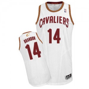 Cleveland Cavaliers #14 Adidas Home Blanc Authentic Maillot d'équipe de NBA Peu co?teux - Terrell Brandon pour Homme